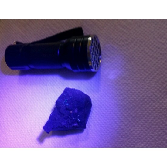 UV Lamp